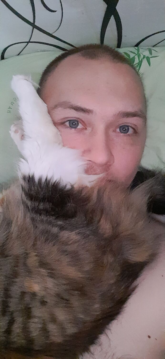 ���� 23183224 ������� ����, 31 ���, ���� ���������� � �����