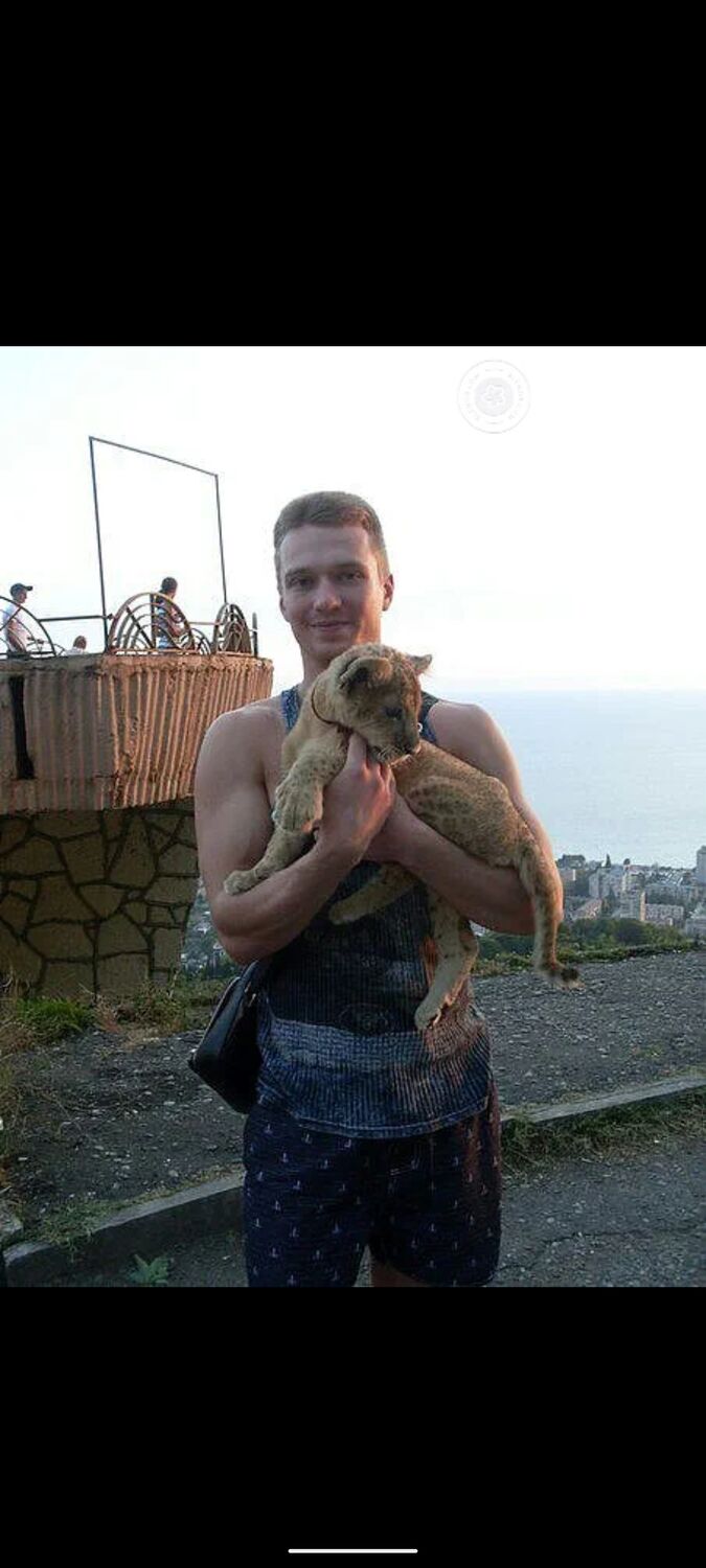 ���� 22987184 ������� Sava, 34 ����, ���� ���������� � ������������