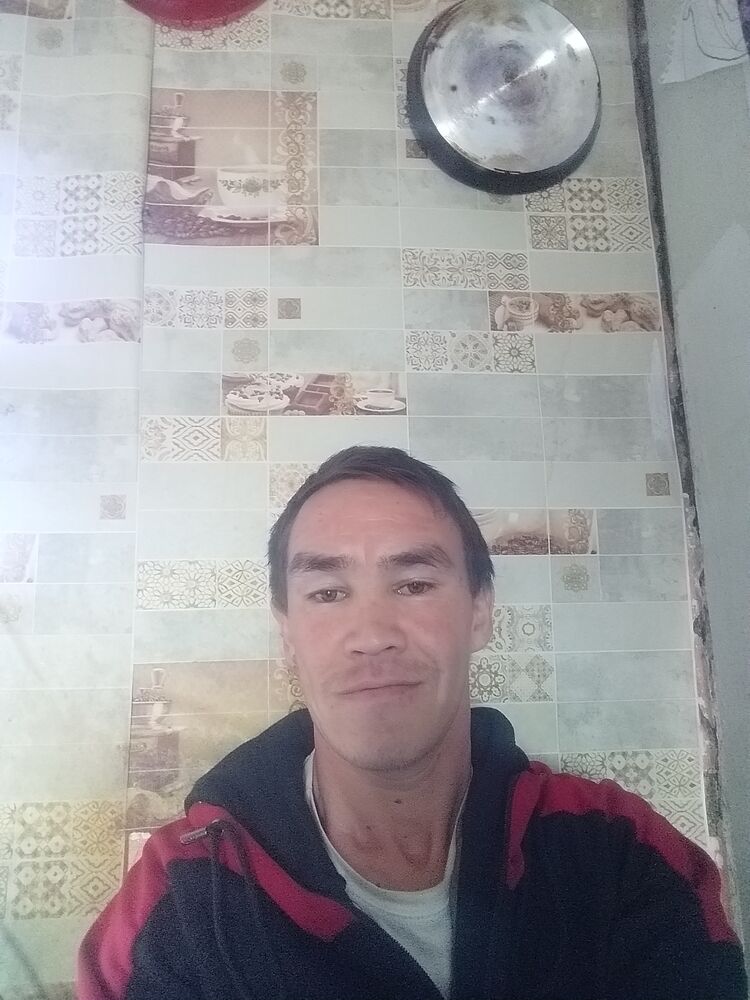  33573334  , 38 ,    