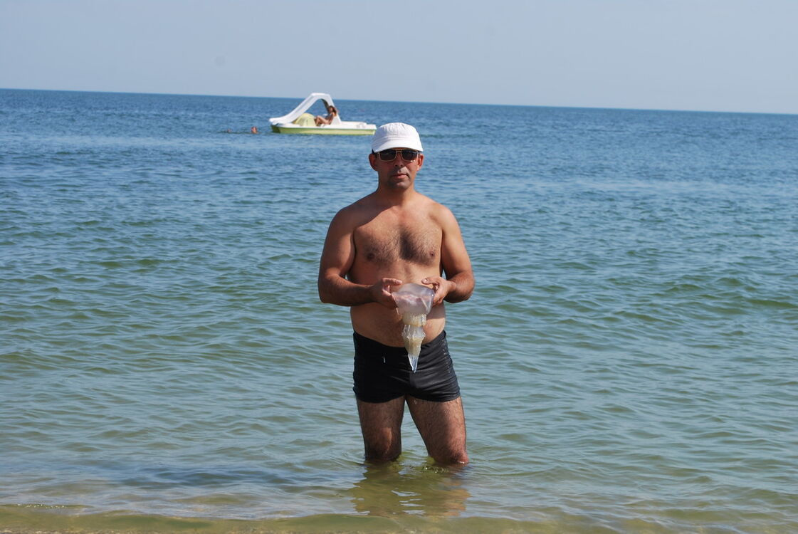 ���������� �������, ���� ������� Vio, 51 ���, ������������ ��� ������