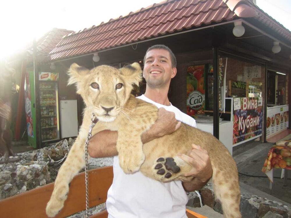  -,   Kirill, 37 ,   ,   