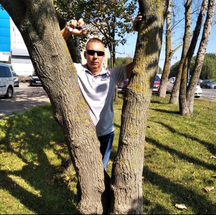 ���� 55532554 ������� �������, 56 ���, ���� ���������� � ������