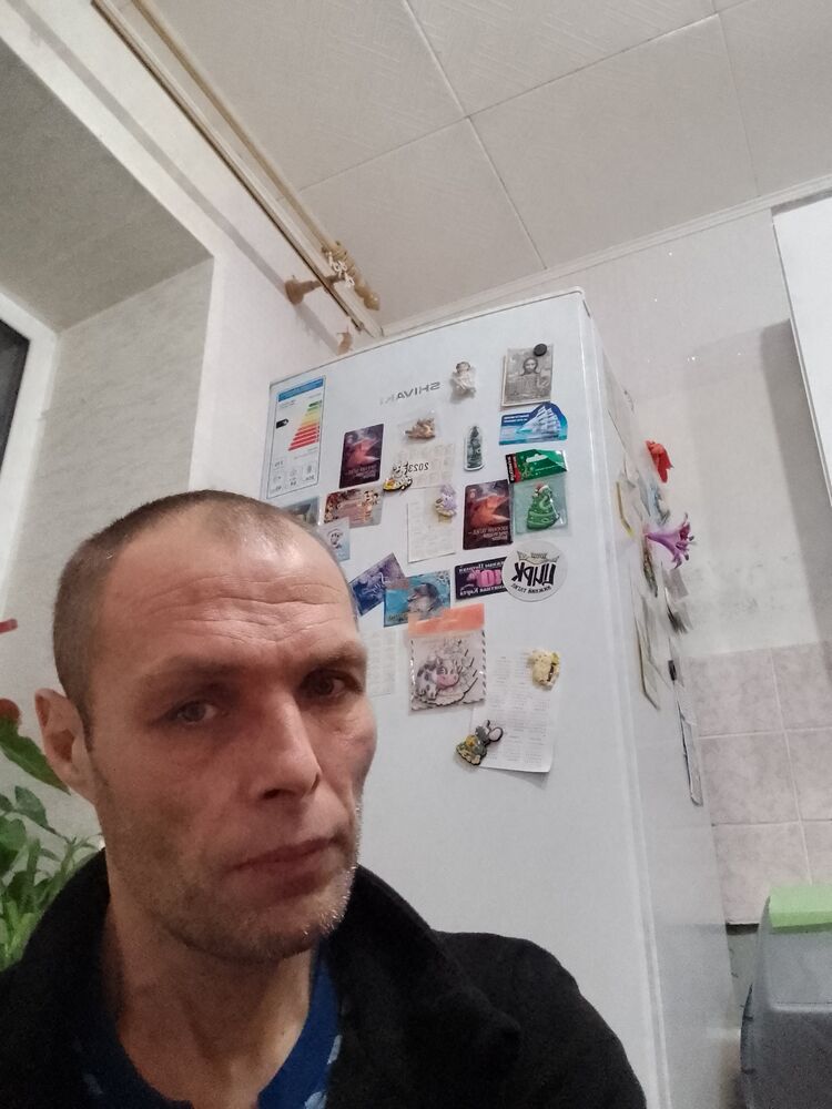  49564634  , 44 ,     