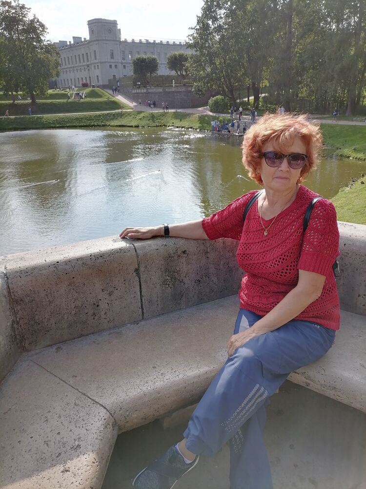  53602654  , 64 ,    -