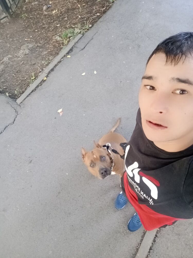  --,   , 33 ,   ,   , c 