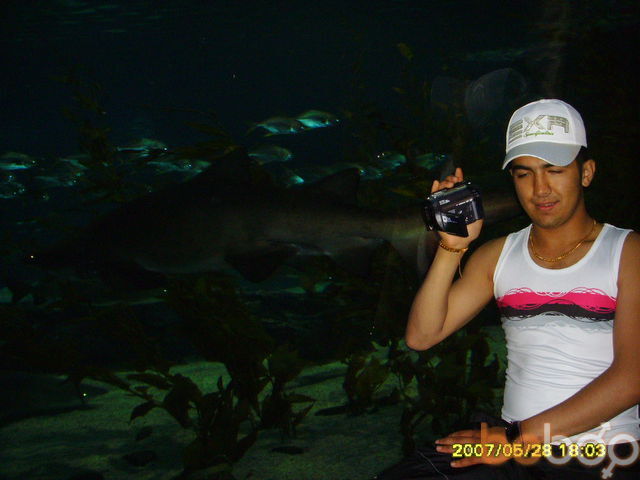 ,   Akmal, 38 ,     , c 