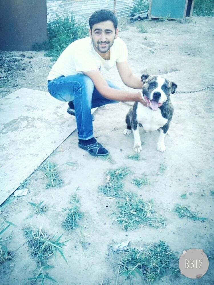 ���� 6164454 ������� �����, 34 ����, ���� ���������� � ���������