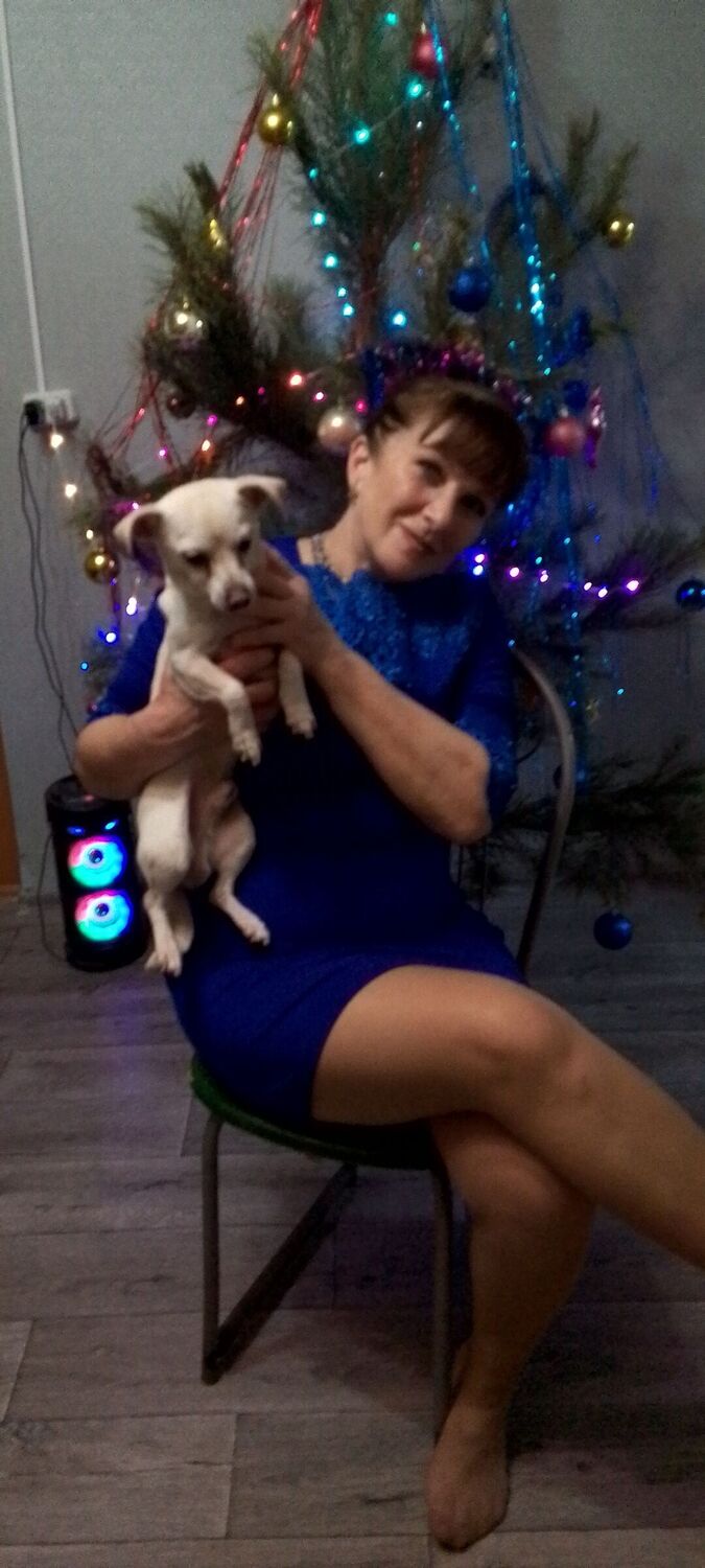 ���� 56045454 ������� �����, 60 ���, ���� ���������� � ��������