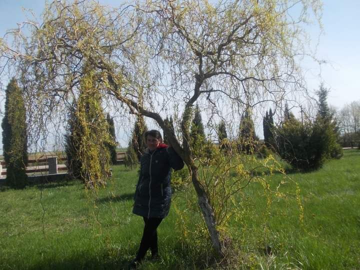  Haugesund,   OSYA KUZIV, 40 ,   ,   , c , 