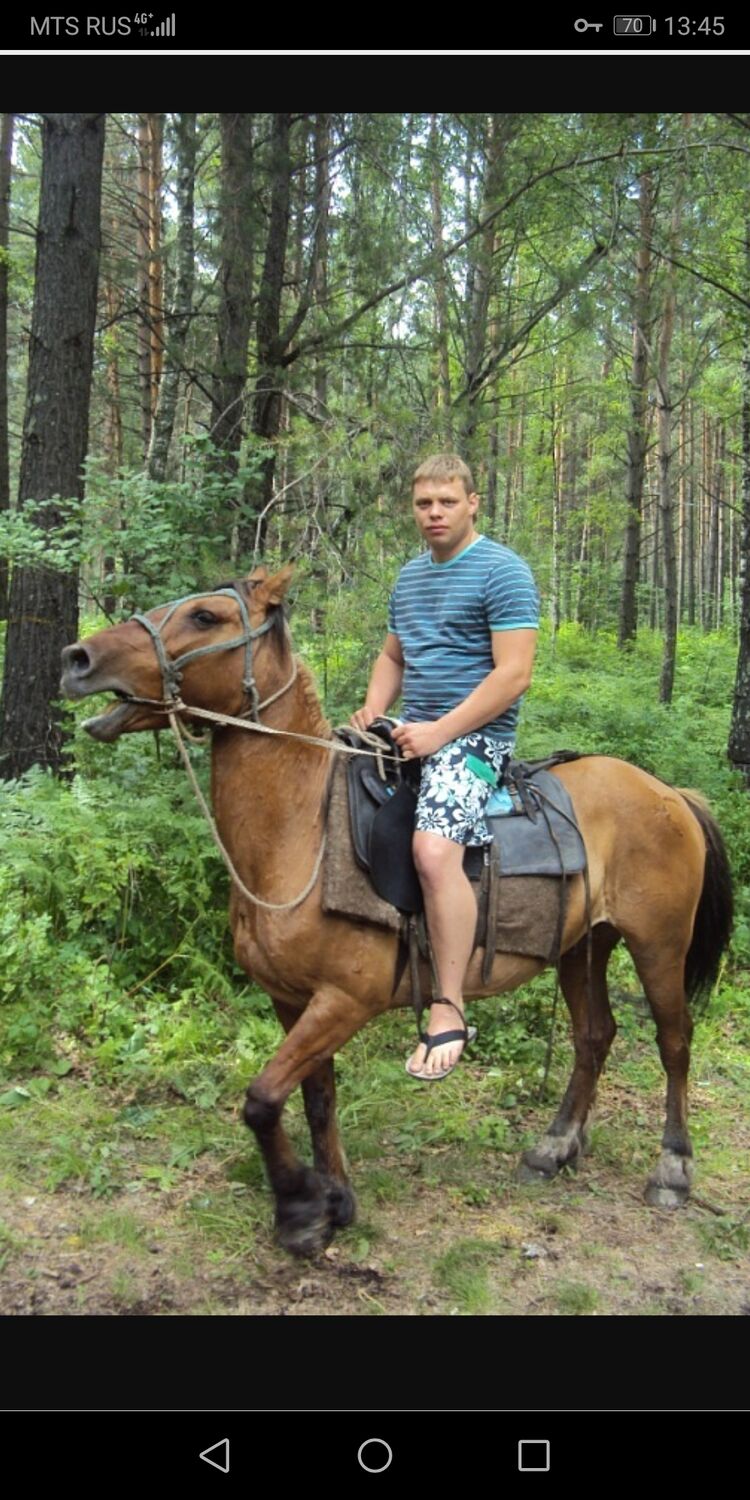 ���� 35003814 ������� �������, 43 ����, ���� ���������� � ������������