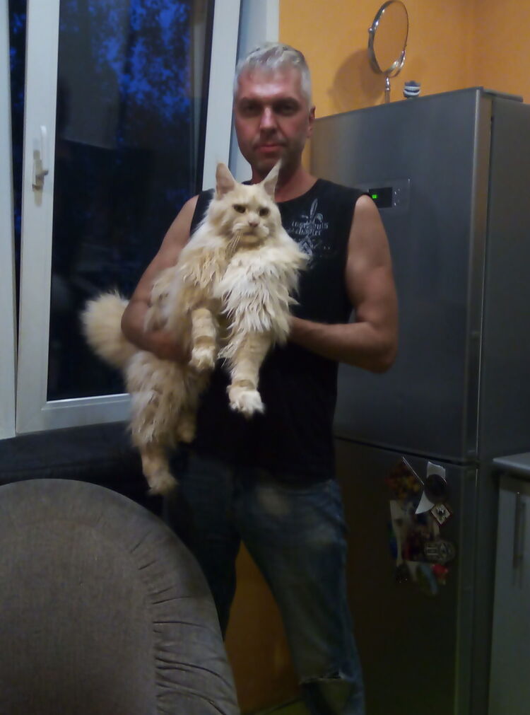 ���� 17033934 ������� ������, 53 ����, ���� ���������� � ����������