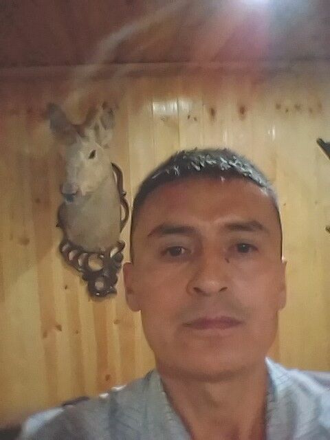  ,   , 46 ,     , c 