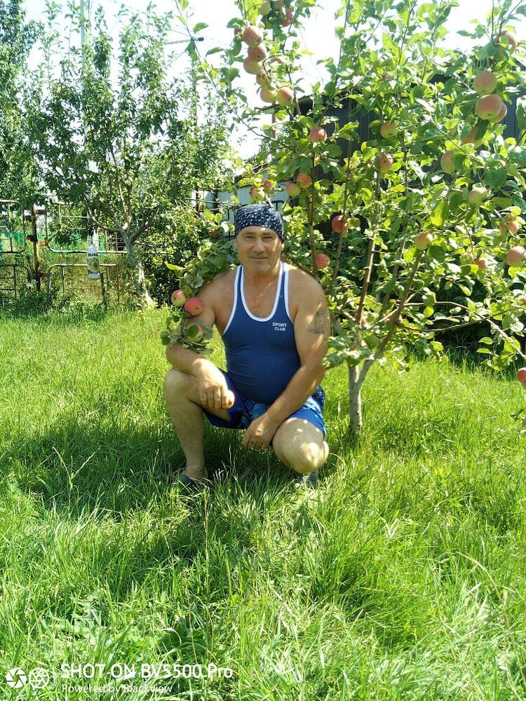  ,   , 67 ,   ,   