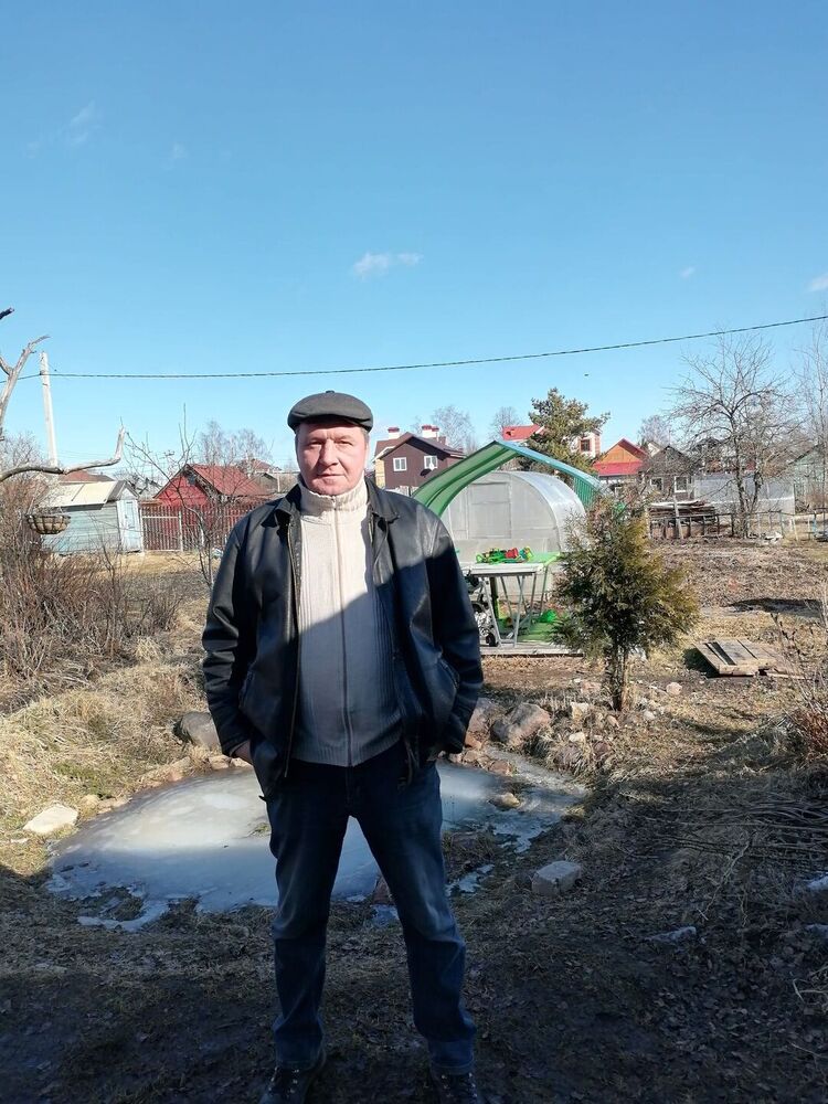 ���� 54973384 ������� ����, 50 ���, ���� ���������� � �������