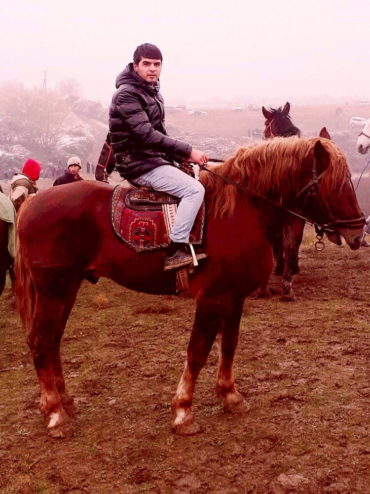 ���������� �����-���������, ���� ������� ����, 27 ���, ������������ ��� ������, ����� � ���������