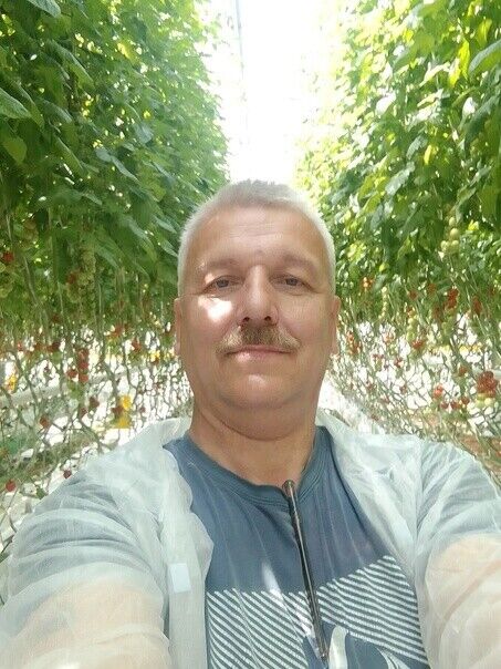  50604454  Vladimir, 53 ,    