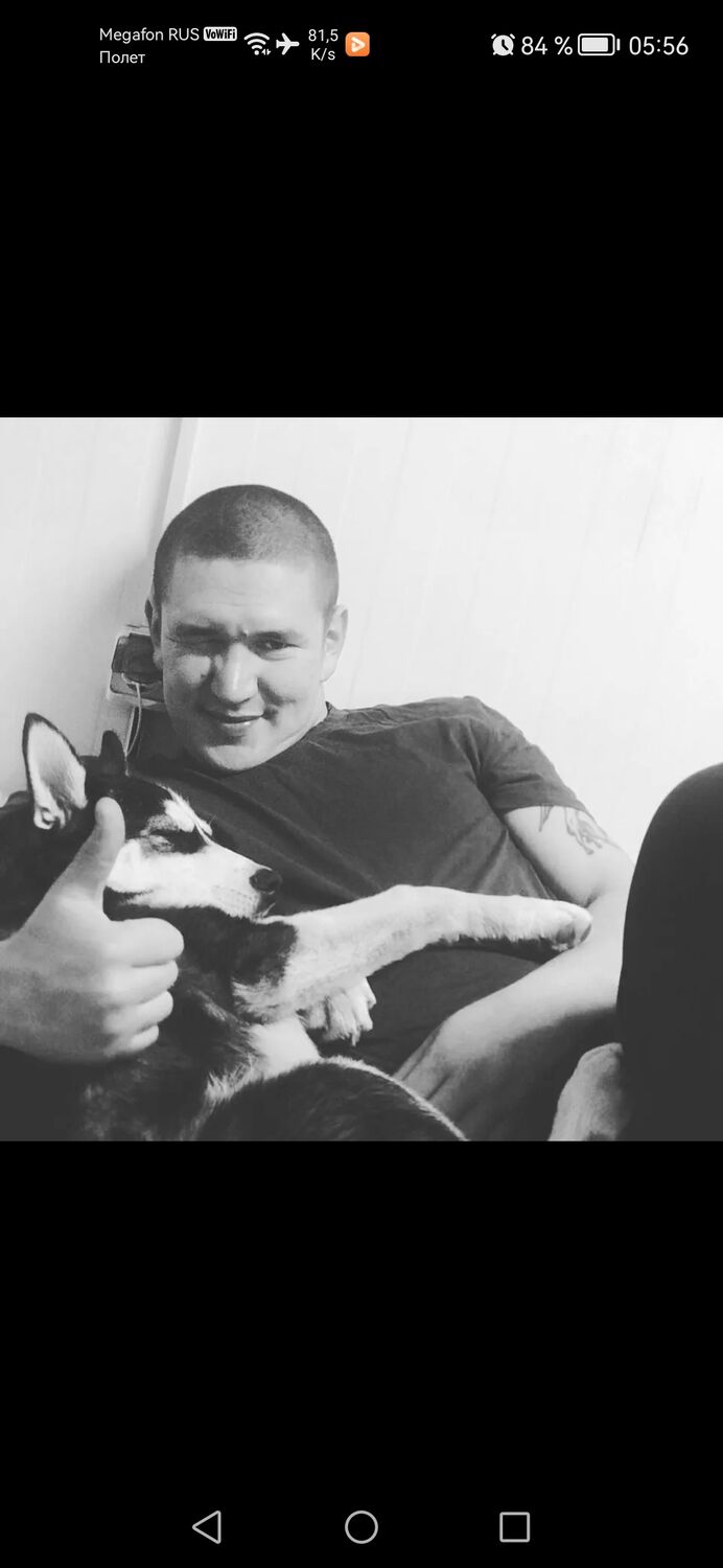 ���� 35550374 ������� ������, 35 ���, ���� ���������� � �������