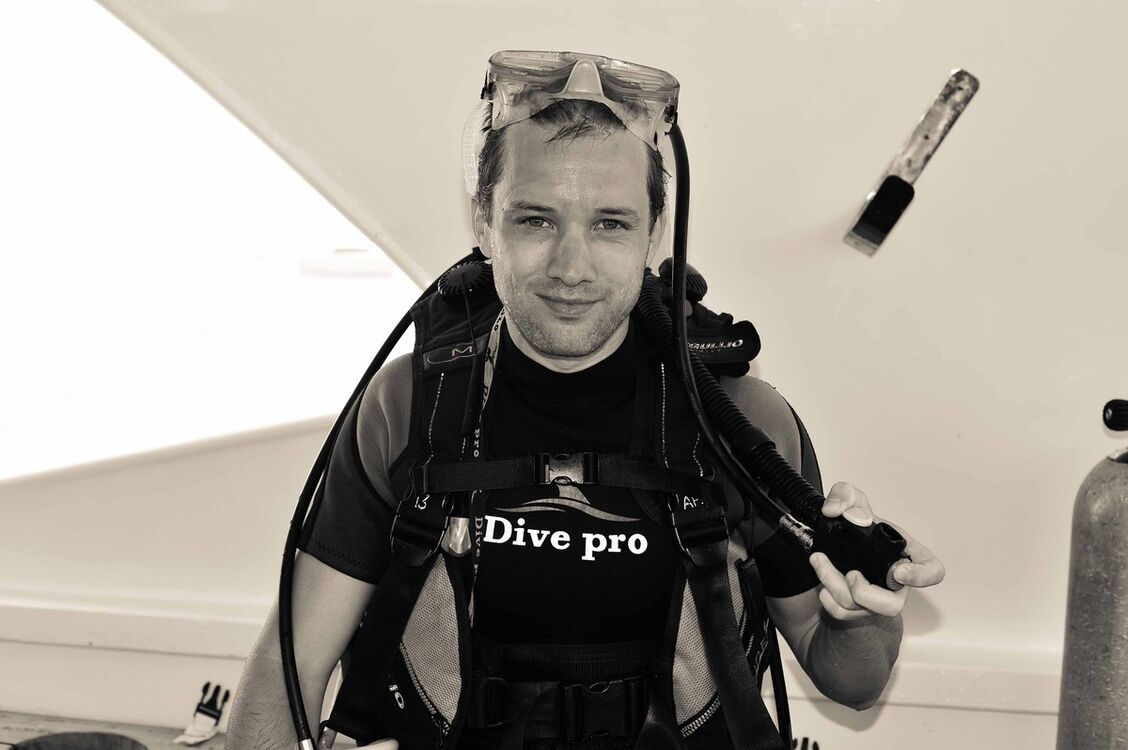 ���� 16738144 ������� Bolt, 41 ���, ���� ���������� � ������