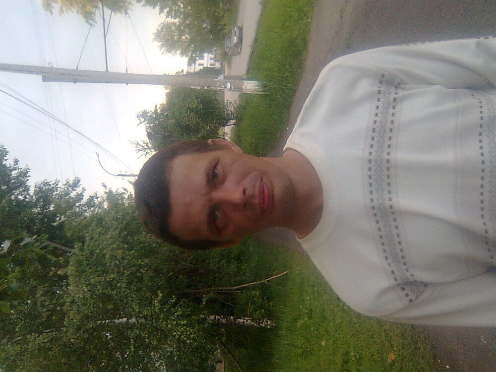  4564064  , 50 ,    