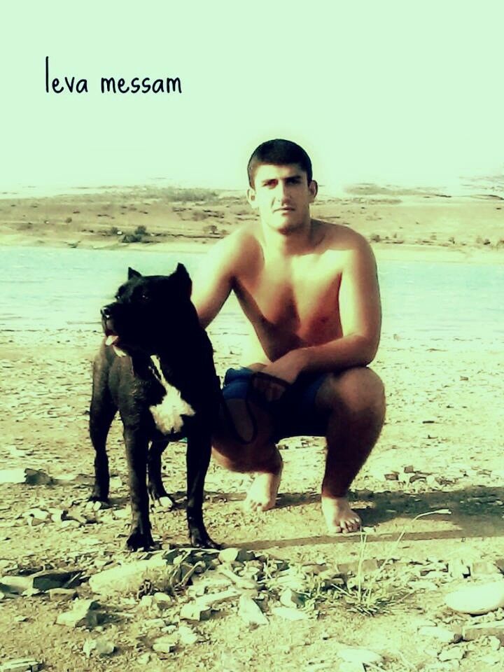 ���� 4186454 ������� Levan, 30 ���, ���� ���������� � �������