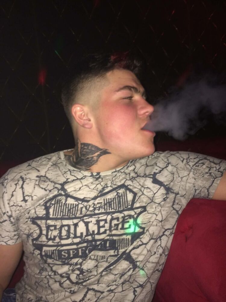 33875684  , 29 ,    