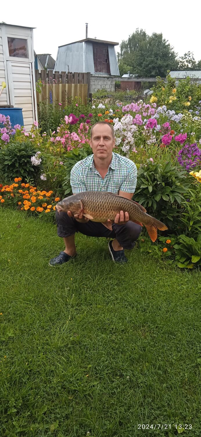 ���������� ������, ���� ������� �����, 51 ���, ������������ ��� ������, ����� � ���������