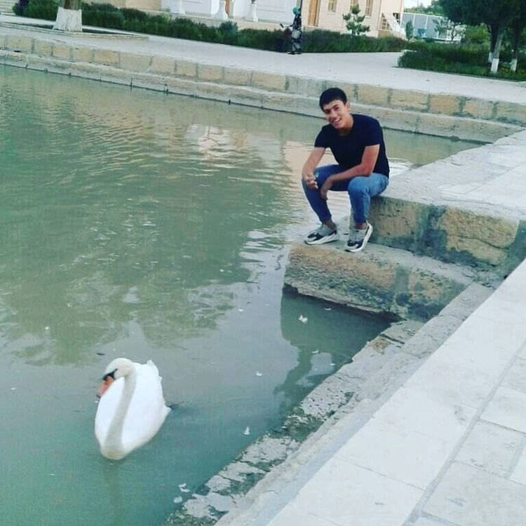 ���������� ������, ���� ����� Shaxa, 24 ����, ������������ ��� ������, ����� � ���������, c�������� ���������