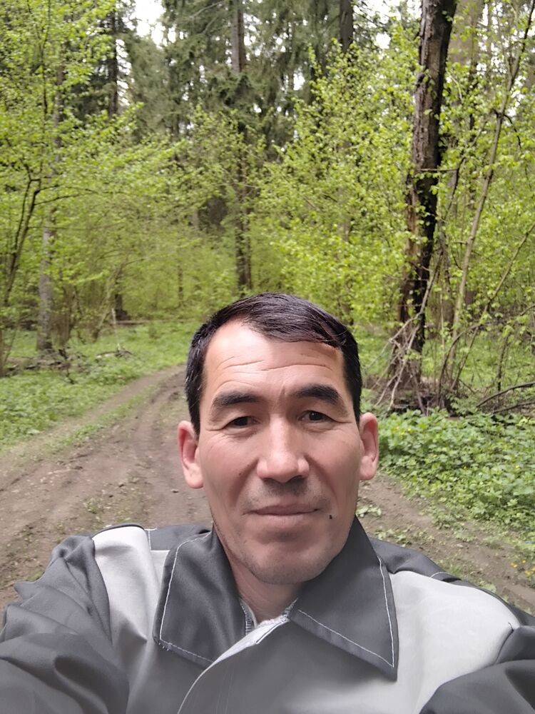 ���� 44012374 ������� ����, 40 ���, ���� ���������� � ������