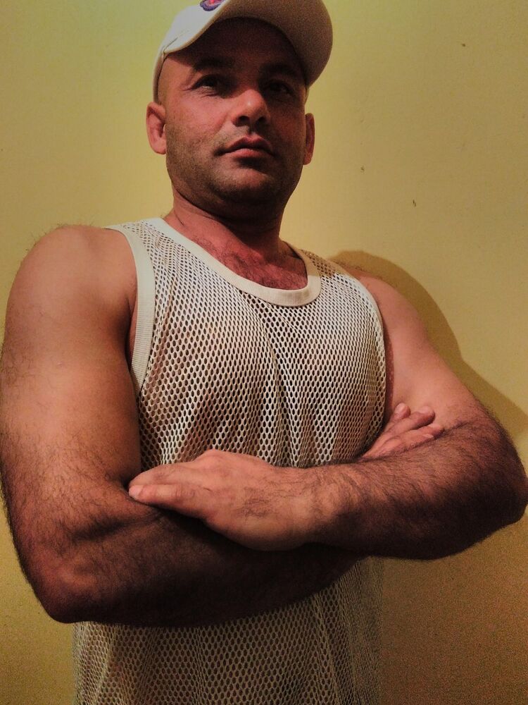  13767184  , 44 ,    