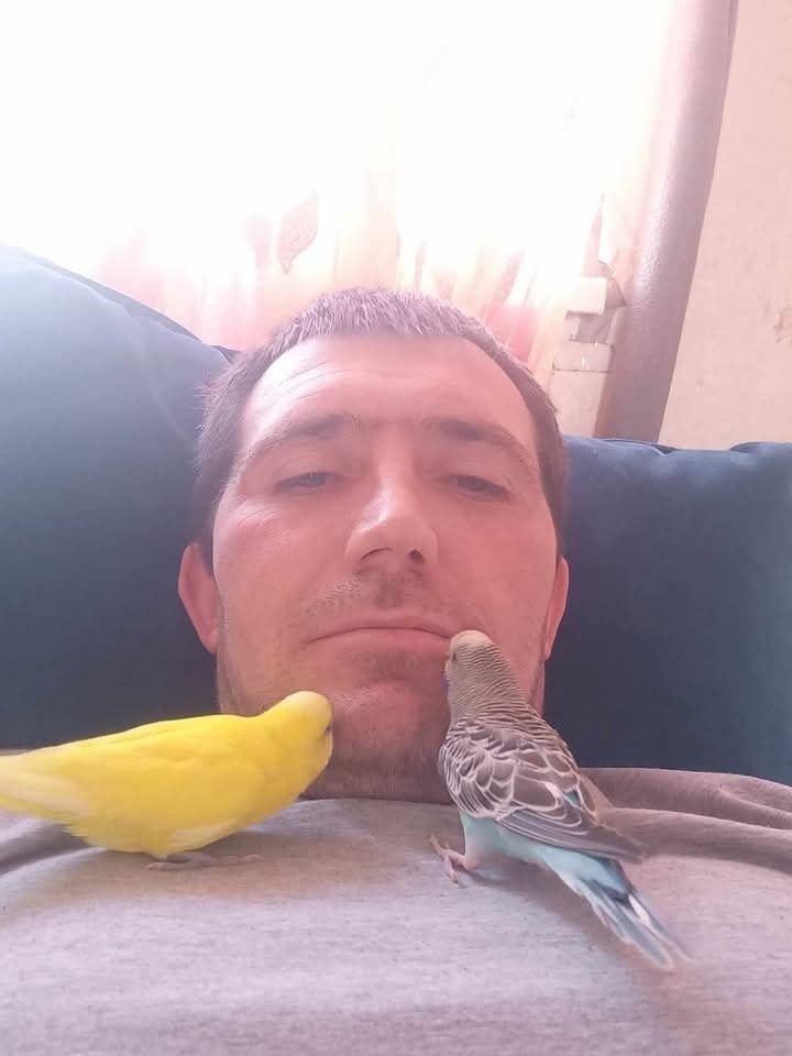 ���������� ������, ���� ������� ������, 40 ���, ������������ ��� ����� � ���������, c�������� ���������