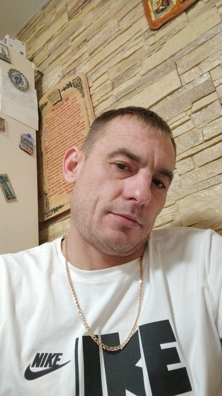  41787044  , 50 ,    