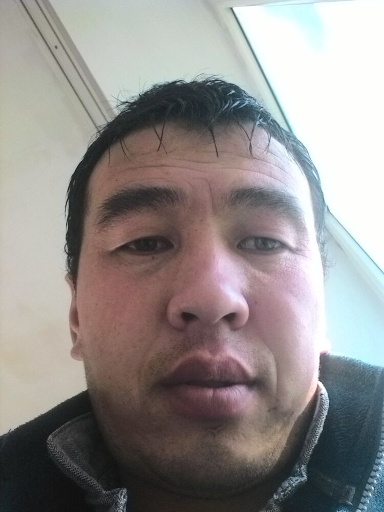  16002154  , 33 ,    