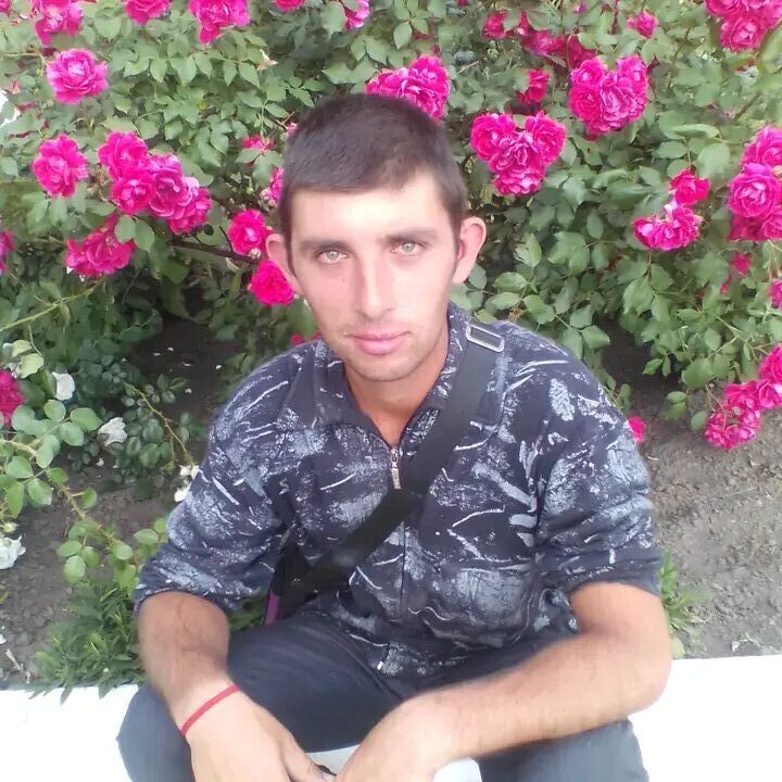 ���� 39806614 ������� �������, 33 ����, ���� ���������� � ������