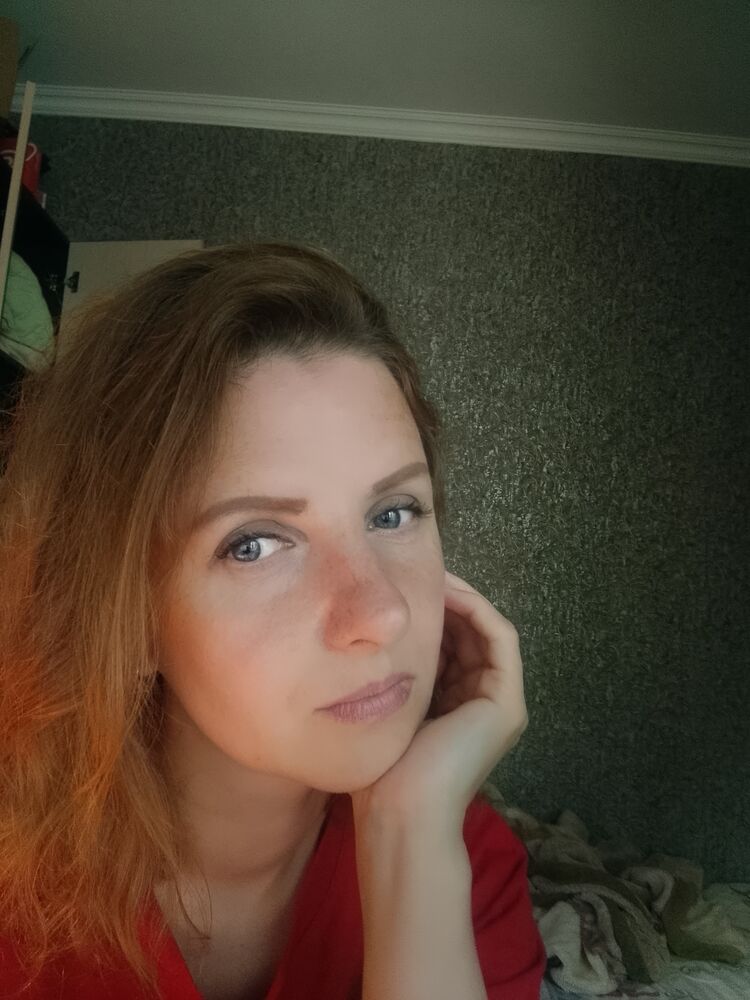  53331604  , 41 ,    -