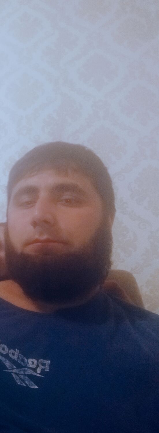  25500634  , 31 ,    
