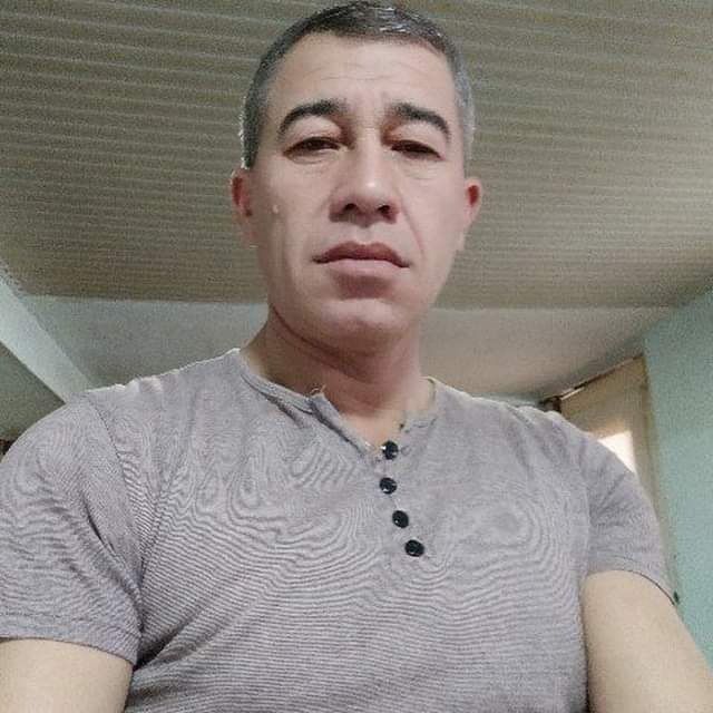  49854204  , 45 ,    