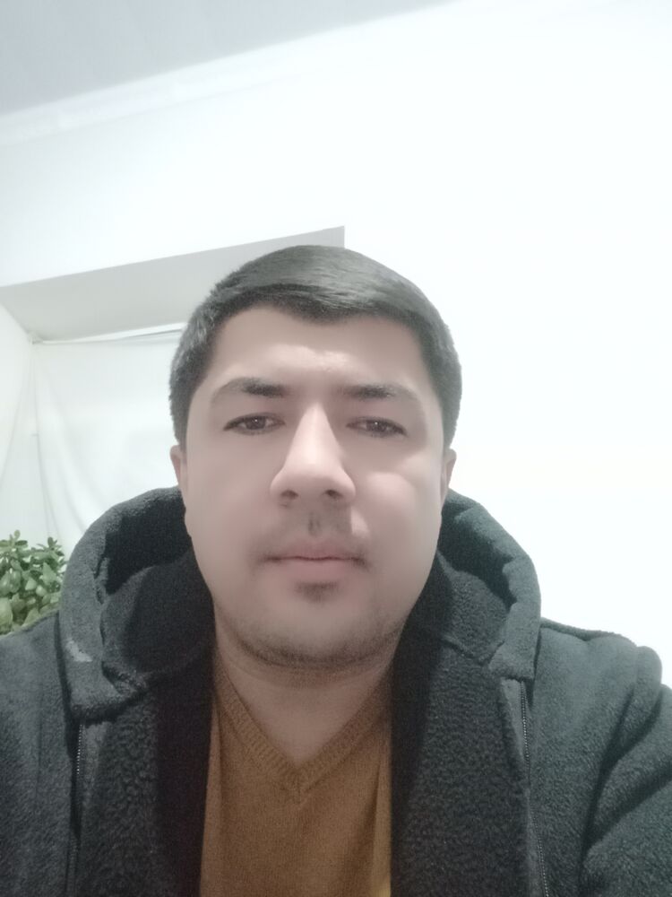  50278544  , 32 ,    -