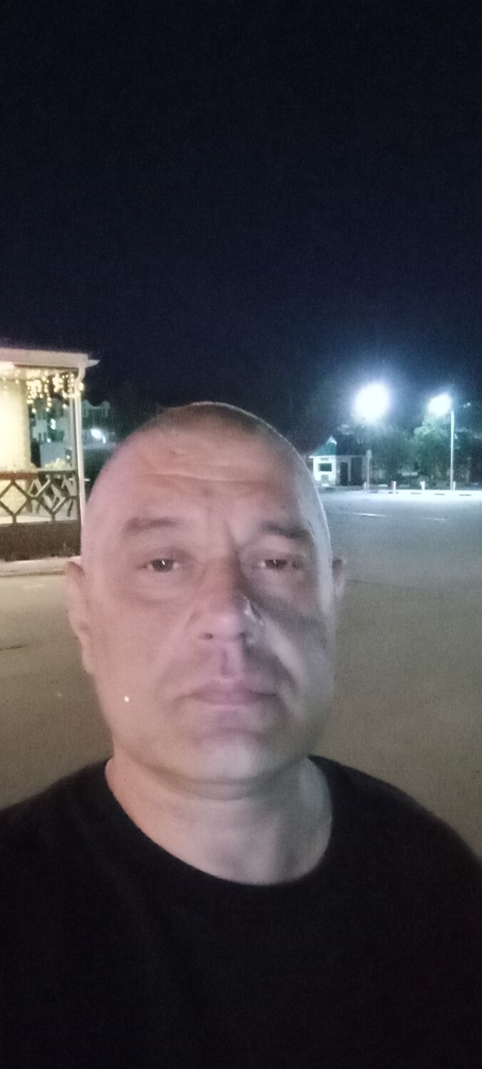  44502404  , 41 ,    