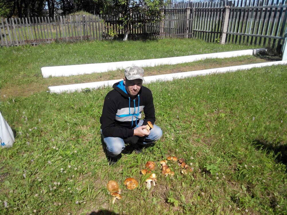 ���� 15696244 ������� ����, 50 ���, ���� ���������� � ������������