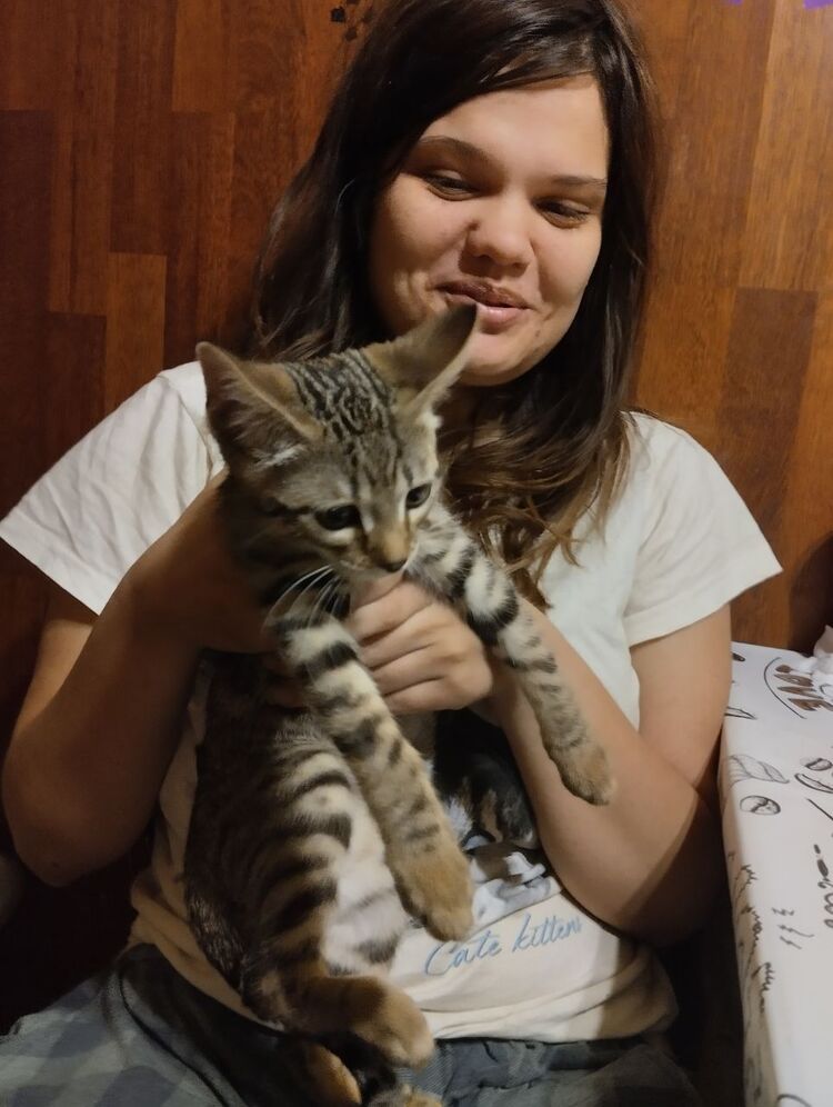 ���� 55972384 ������� Kot, 25 ���, ���� ���������� � ������