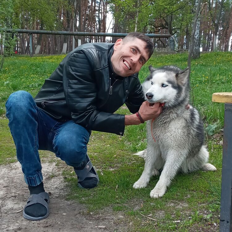 ���������� ��������, ���� ������� ������, 36 ���, ������������ ��� ����� � ���������, c�������� ���������