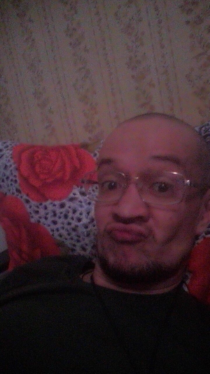  41806724  , 43 ,    -