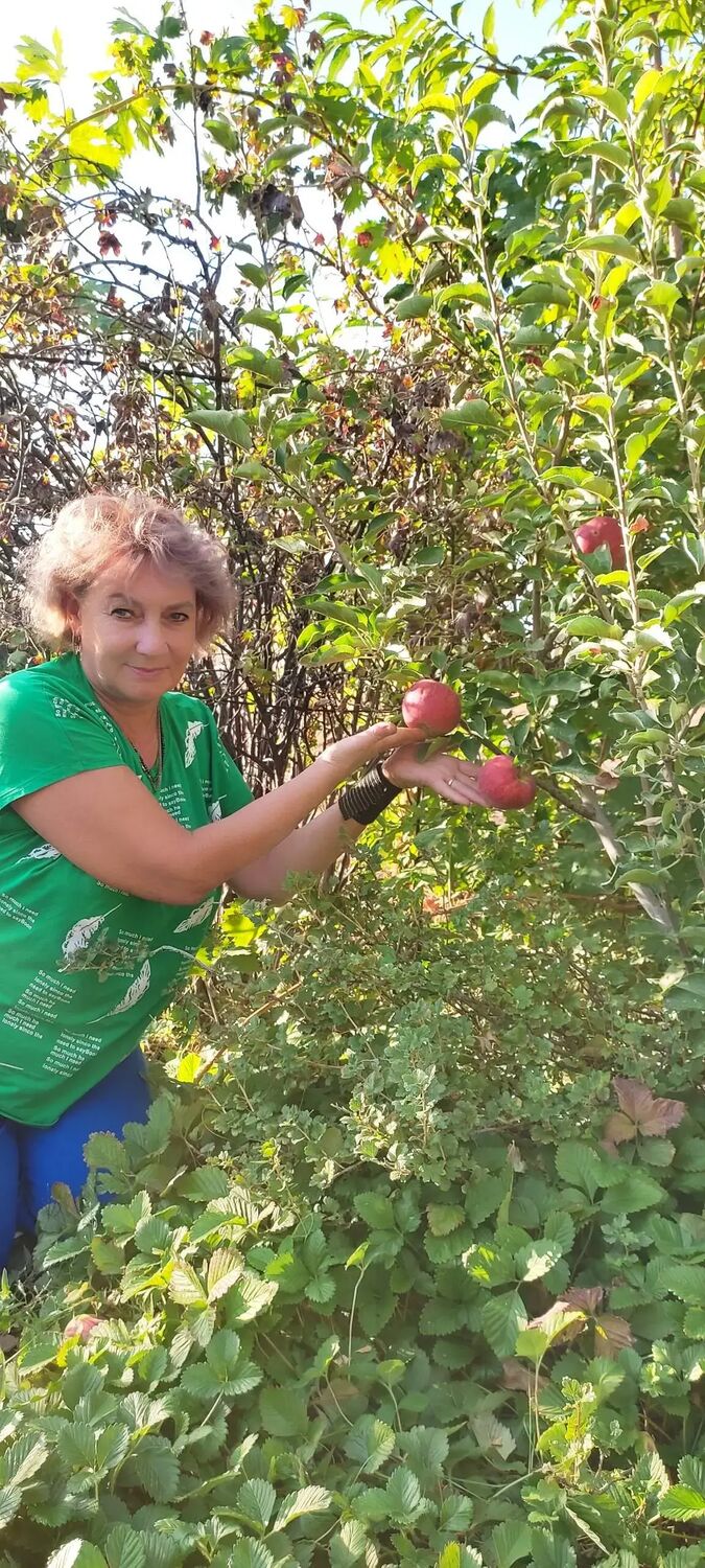 ���� 49605754 ������� ��������, 62 ����, ���� ���������� � ��������