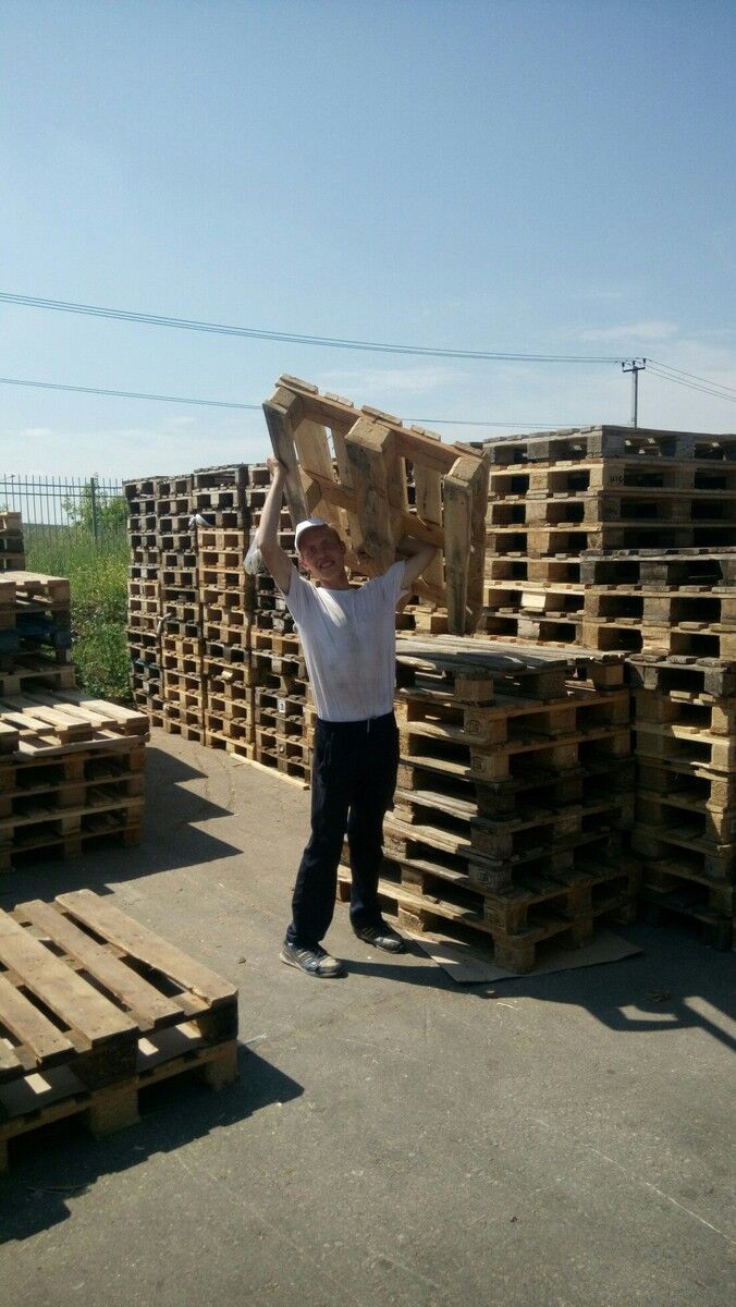 ���������� �����, ���� ������� ������, 31 ���, ������������ ��� ������, ����� � ���������, c�������� ���������, ���������