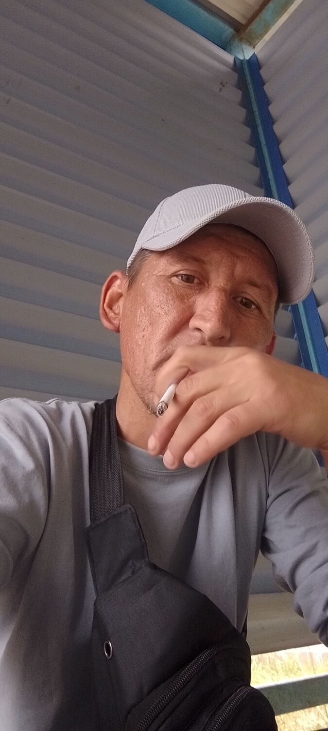 ���� 56005684 ������� ������, 38 ���, ���� ���������� � ���������