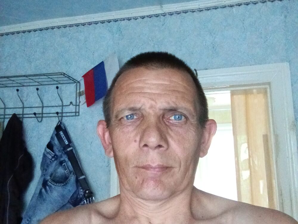  44564404  , 51 ,    