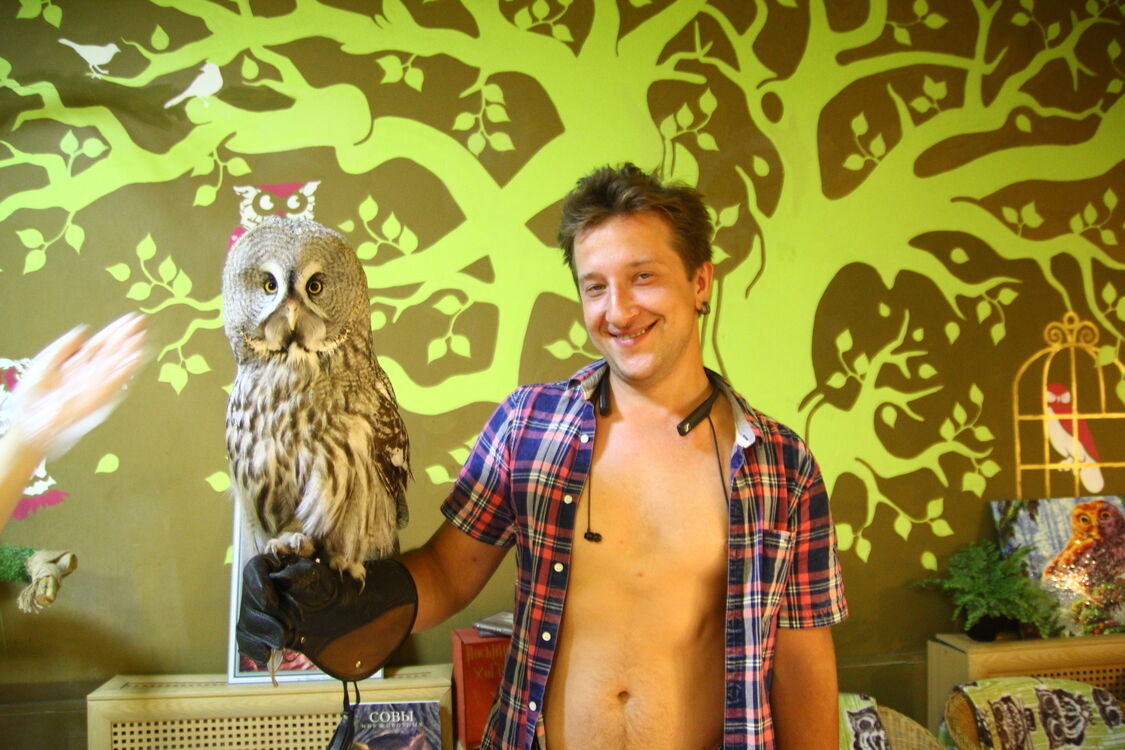 ���������� ������, ���� ������� ���������, 37 ���, ������������ ��� ������, ����� � ���������