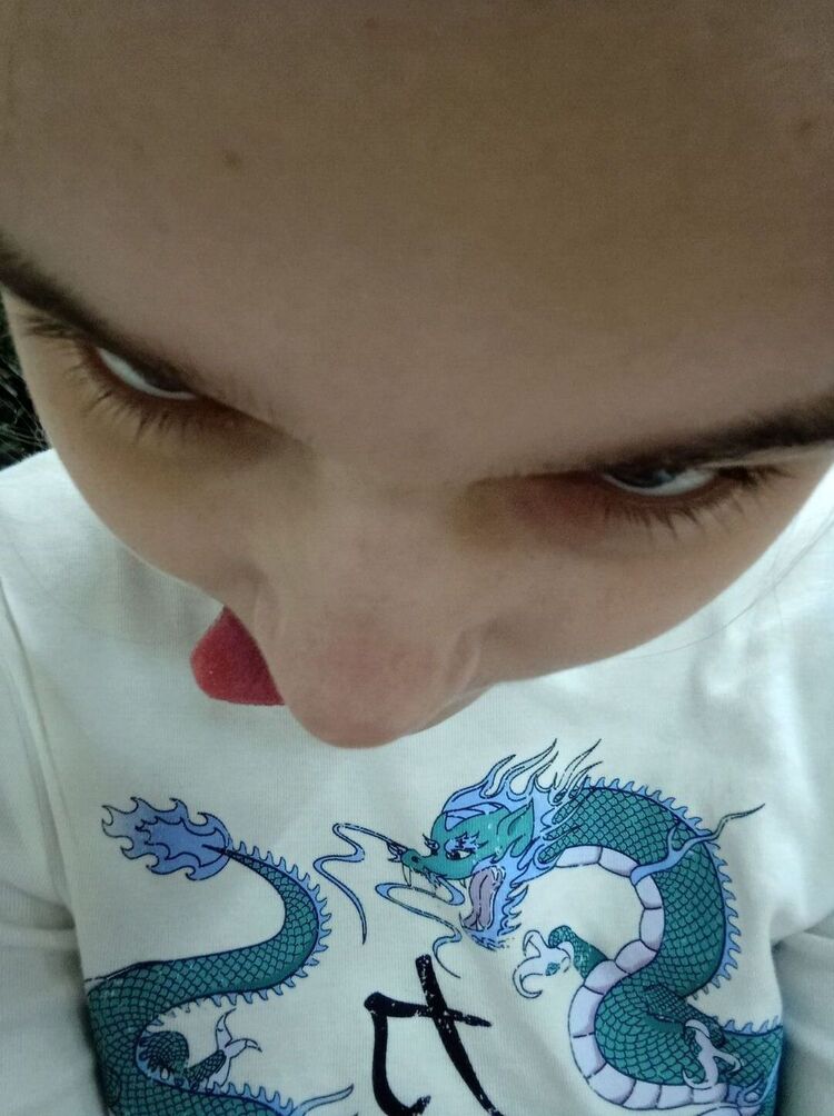  24913584  , 25 ,    
