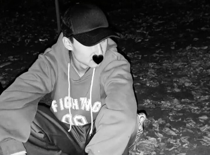 ���� 55715024 ����� �����, 18 ���, ���� ���������� � ������