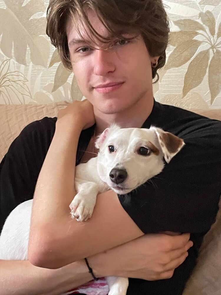 ���������� ������, ���� ������� �������, 29 ���, ������������ ��� ������, ����� � ���������, ���������